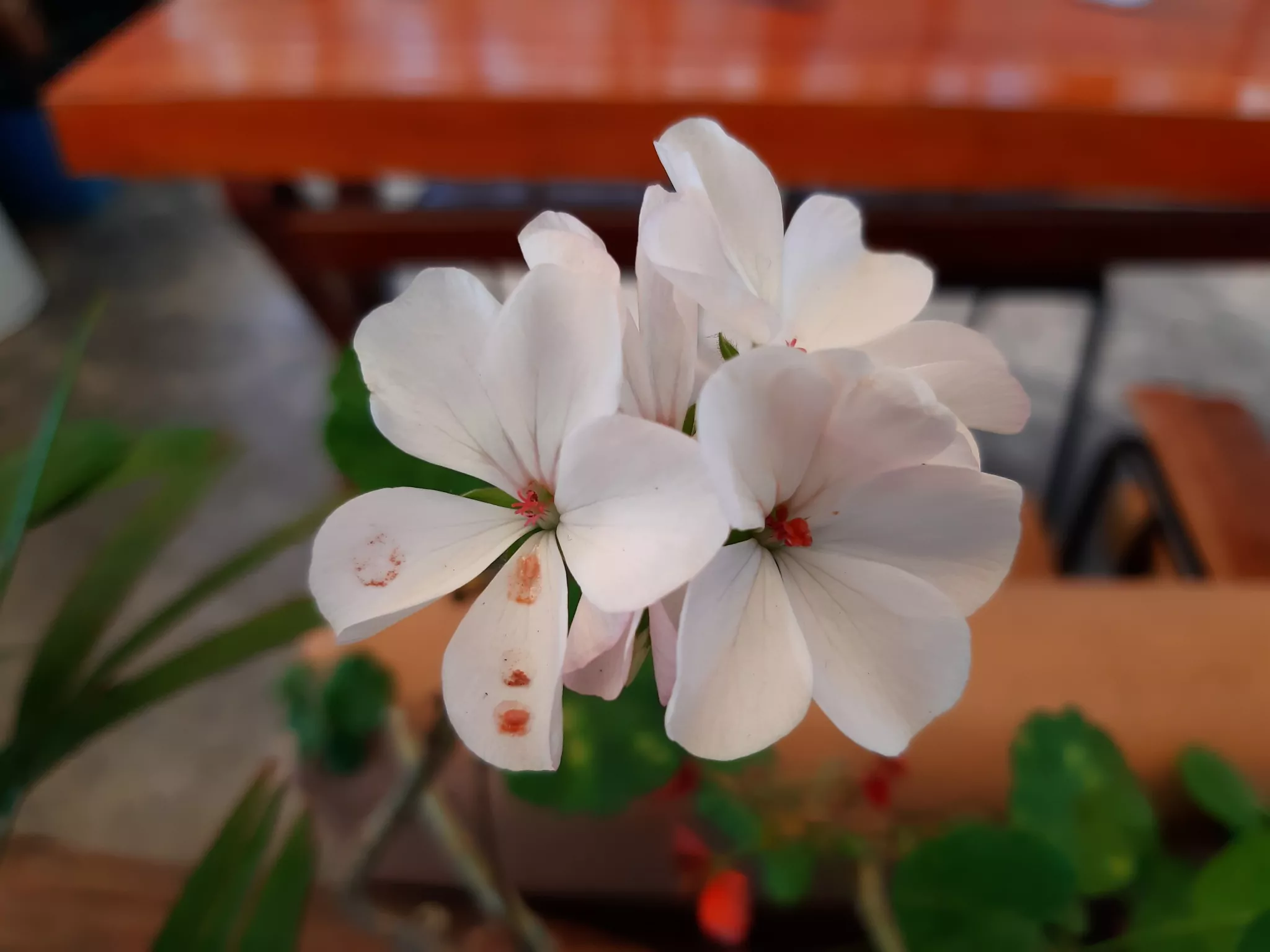 20181027_090716.jpg