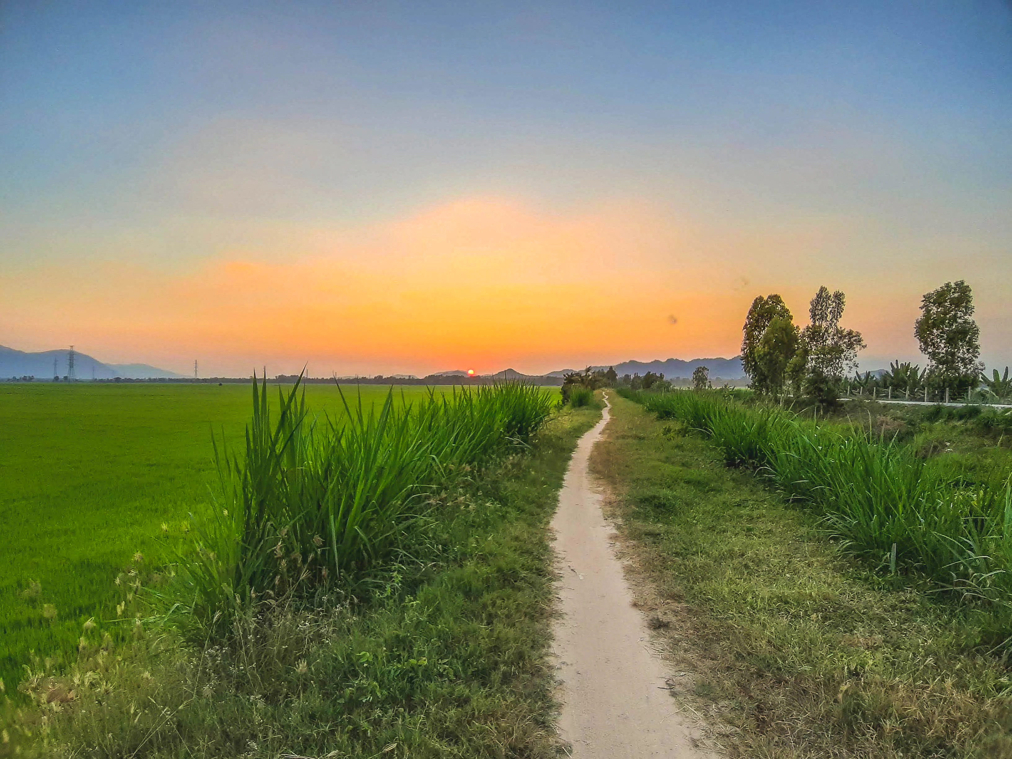 20190207_175833.jpg