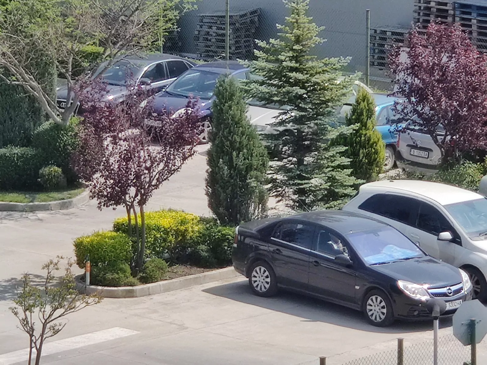03-oneplus-8.jpg