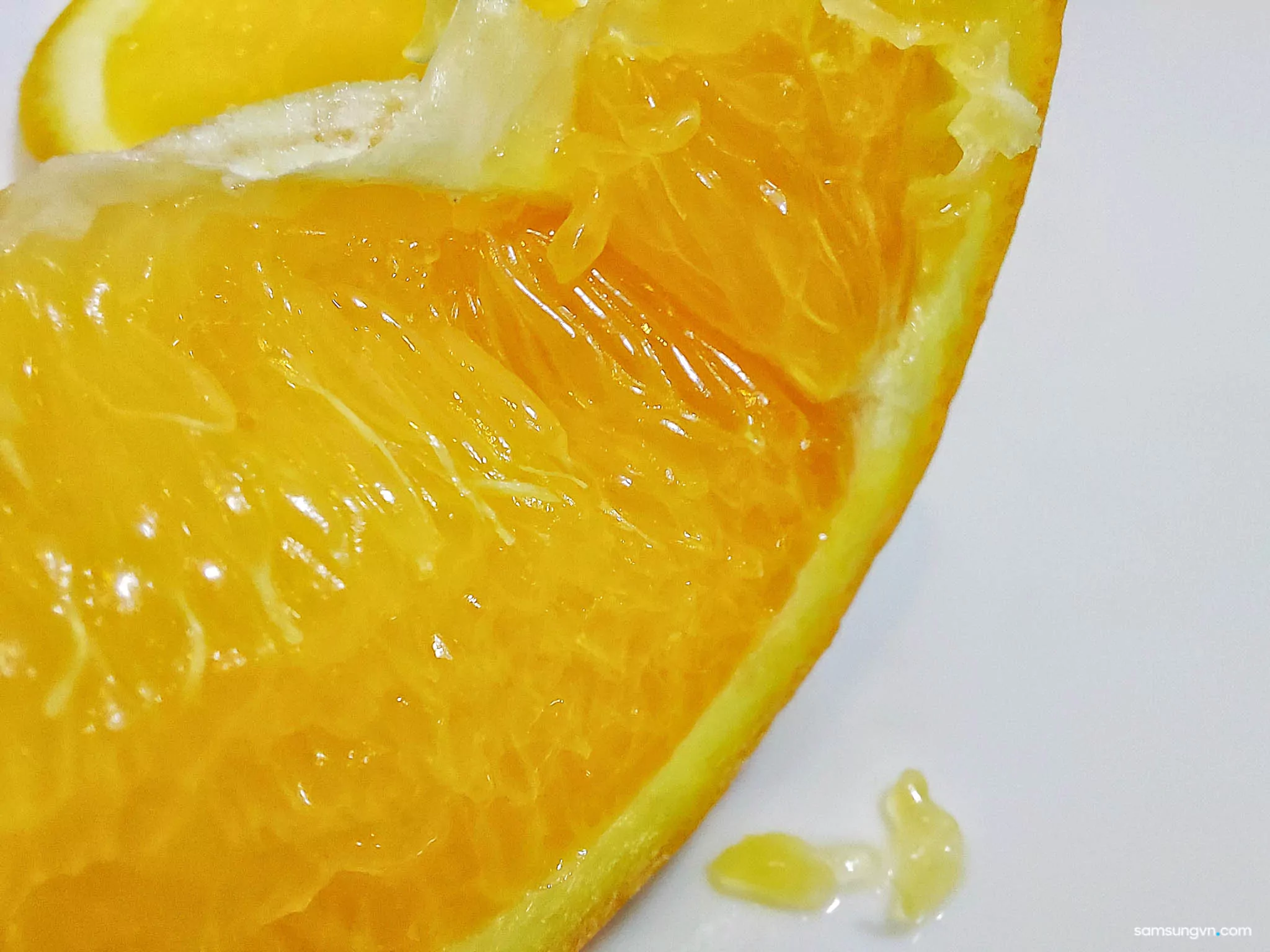 A71_Macro_20.jpg