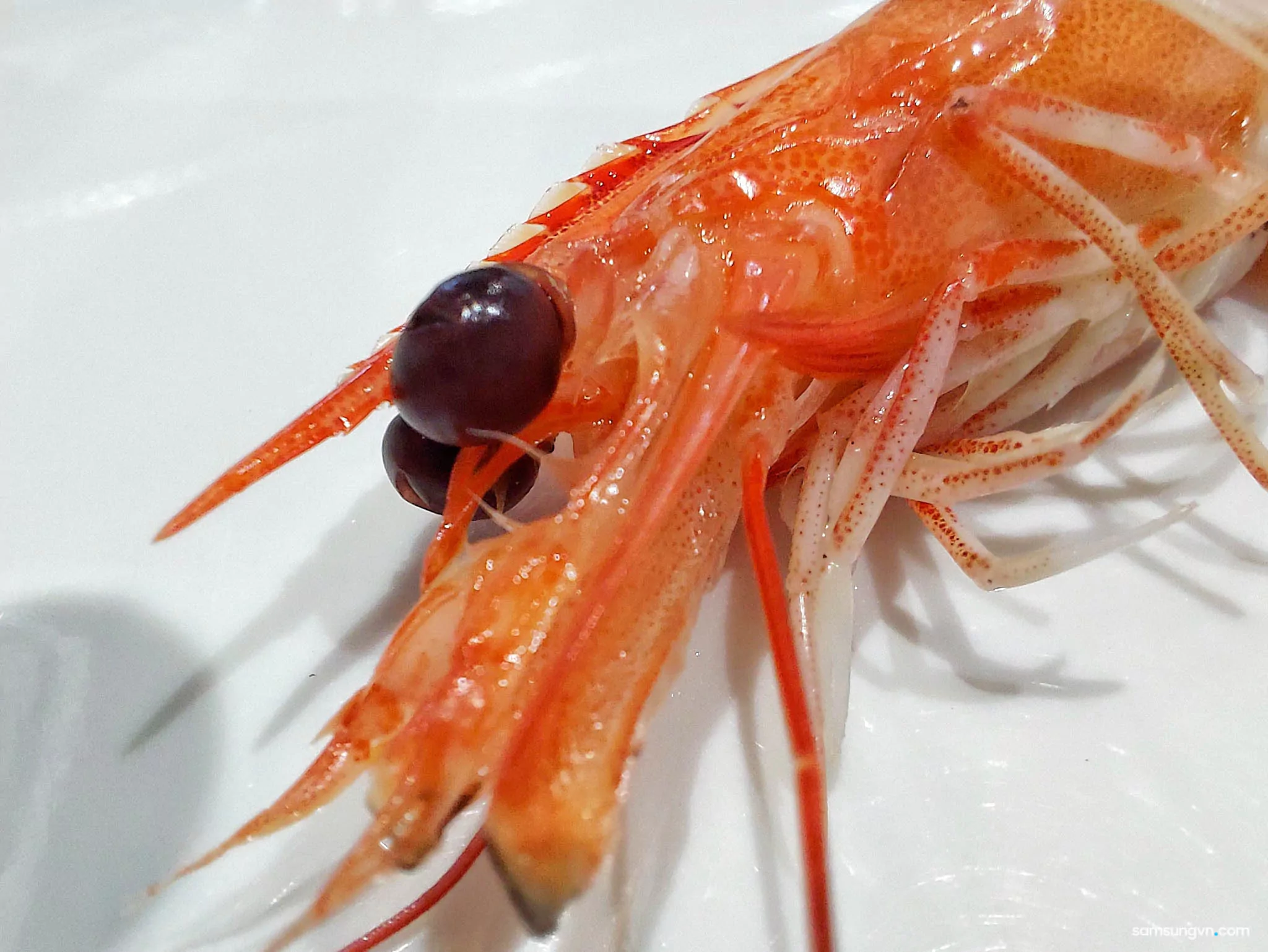 A71_Macro_3.jpg