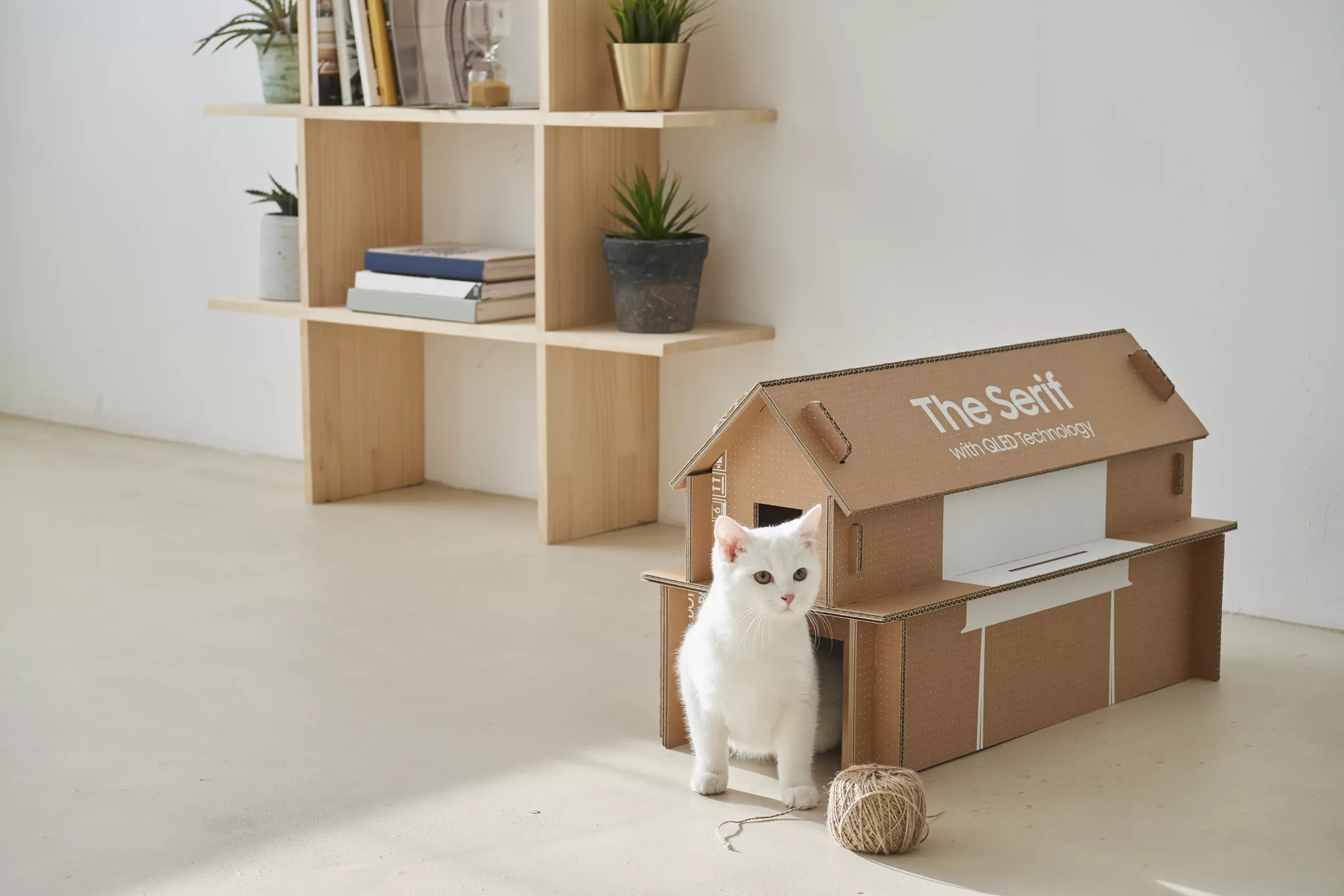 Eco-Packaging-for-Lifestyle-TV-Lineup_4.jpg
