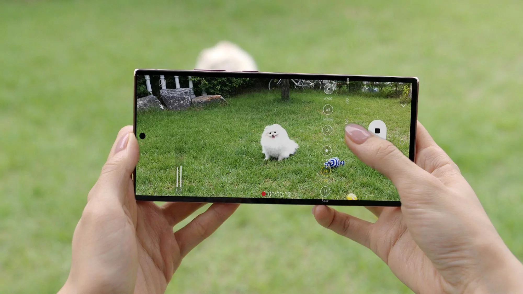 Note20-leak-7.jpeg