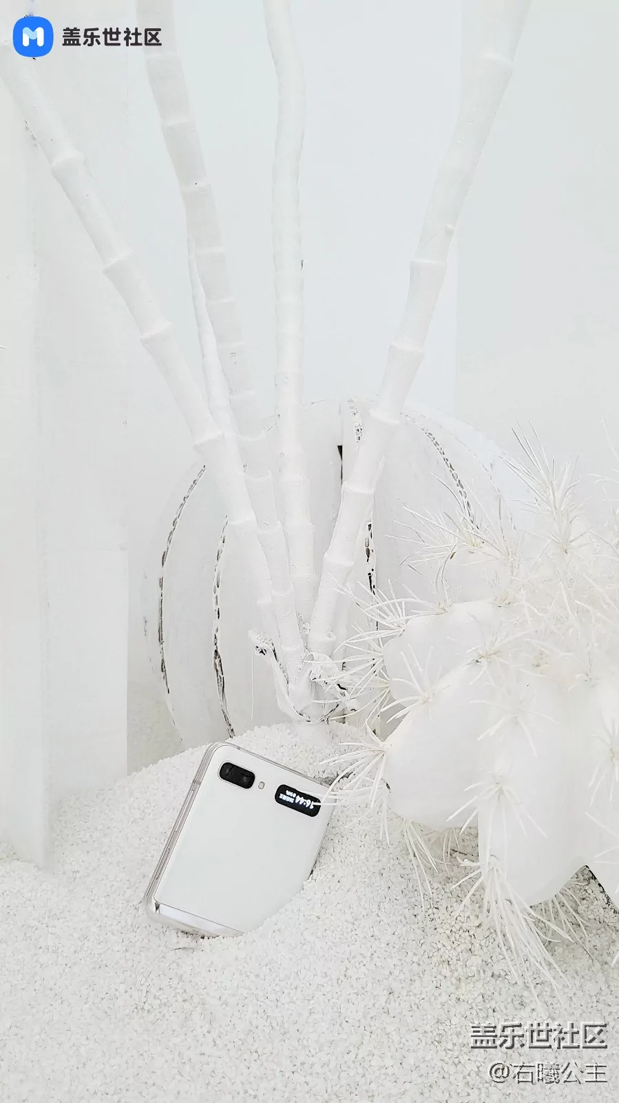 Galaxy_Z_Flip_5G_White_6.jpg