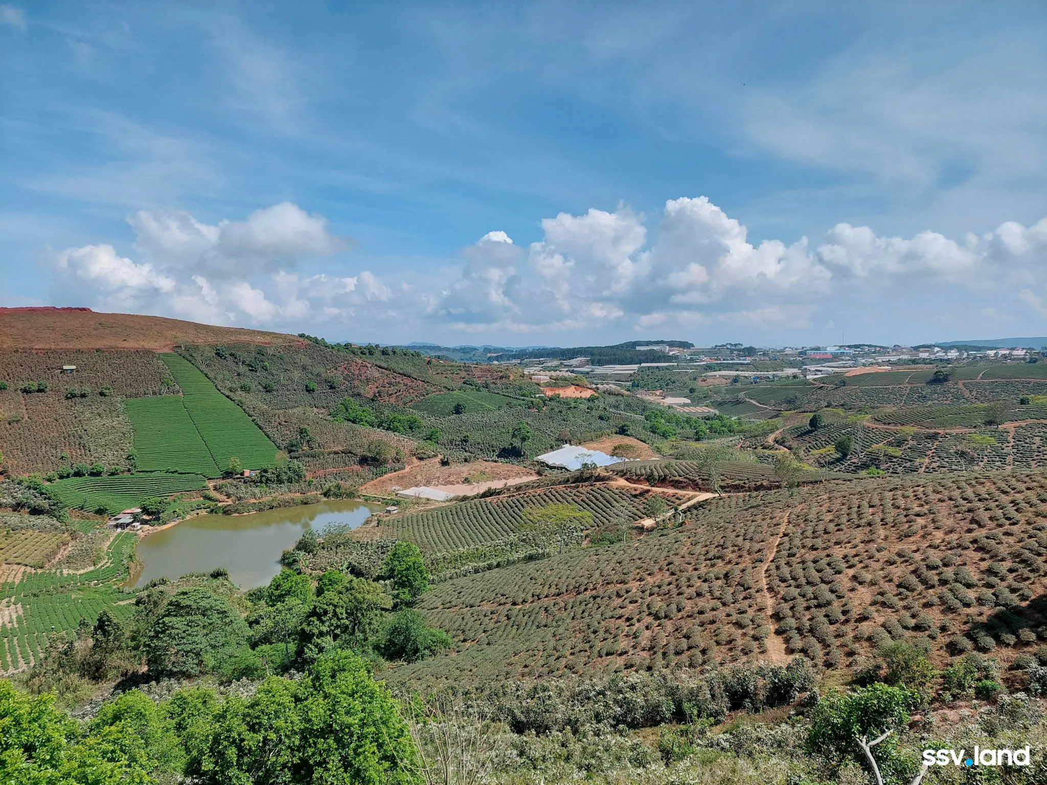 Shot-by-Galaxy-A72-Dalat-ssv.land-13.jpg