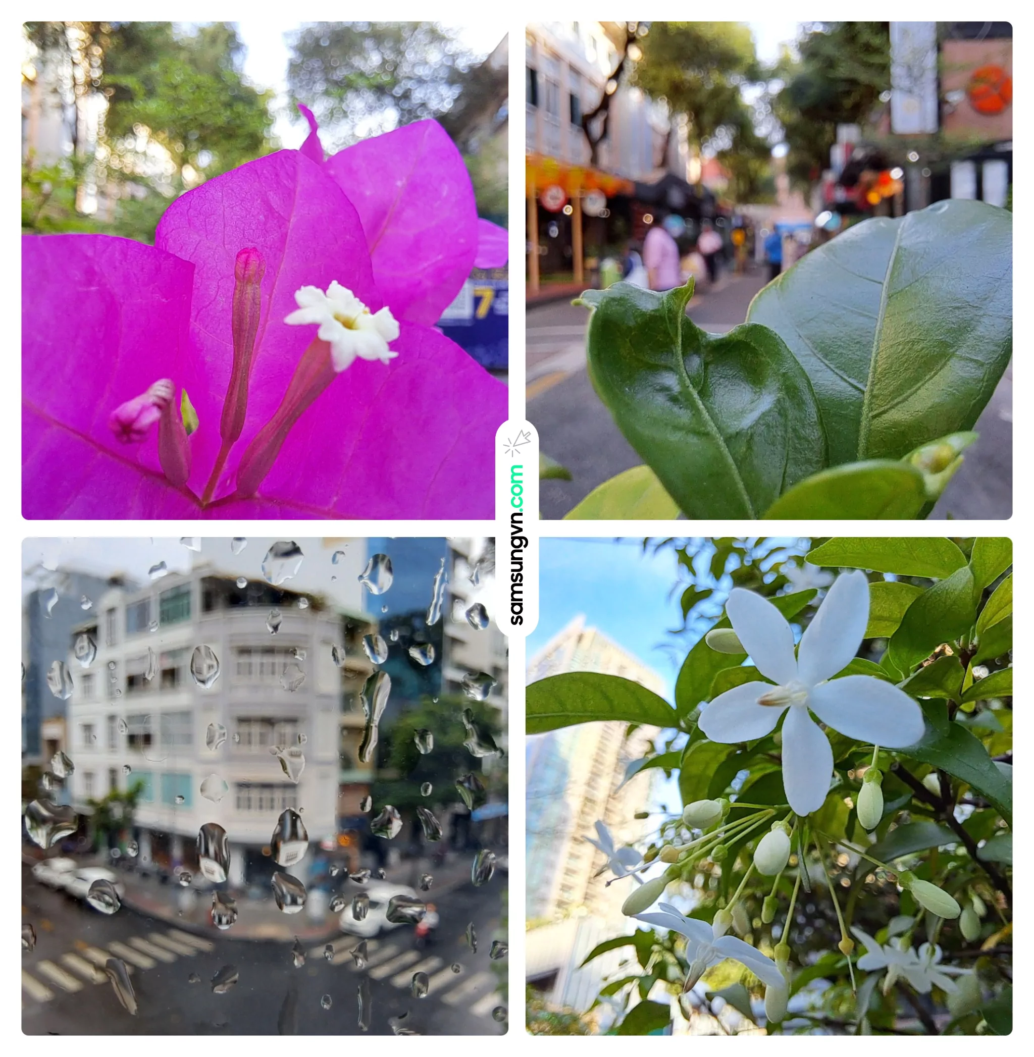 Camera-Review-Galaxy-A53-5G-samsungvn.com-3.jpg