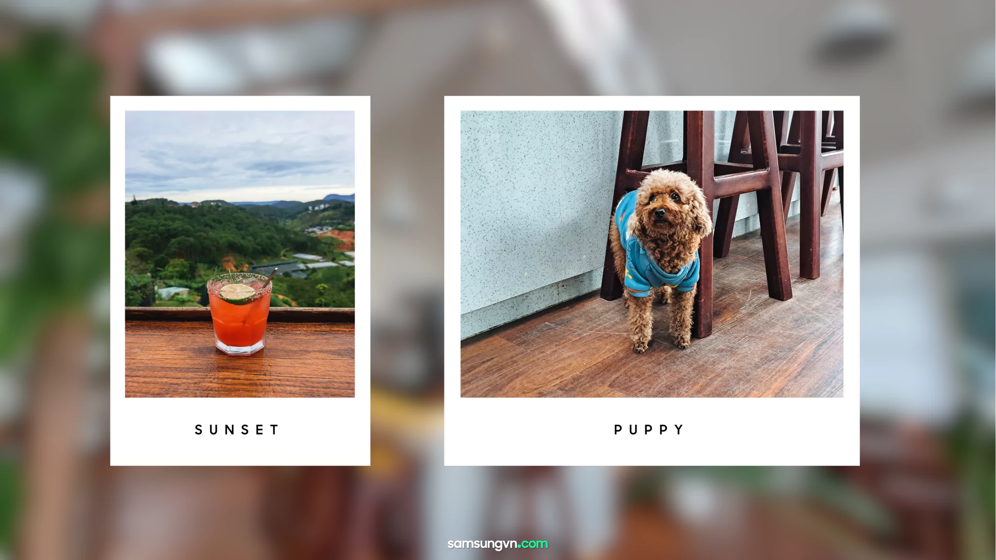 Cafe-in-Dalat-shot-by-GalaxyA53-samsungvn.com-5.png