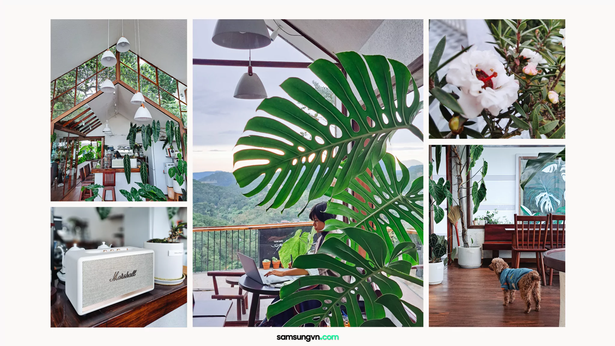 Cafe-in-Dalat-shot-by-GalaxyA53-samsungvn.com-6.png