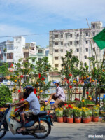 Con Tết thấy đẹp không?