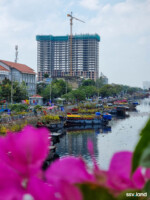 đa số những chiếc ghe này đều từ miền Tây như Bến Tre, Tiền Giang ...