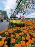 Còn đây là Vạn thọ
