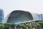 Còn đây là "chái sầu riêng"