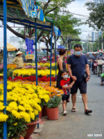 Cả gia đình đang đi lựa hoa Tết